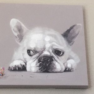 Meet your Posher, Carys